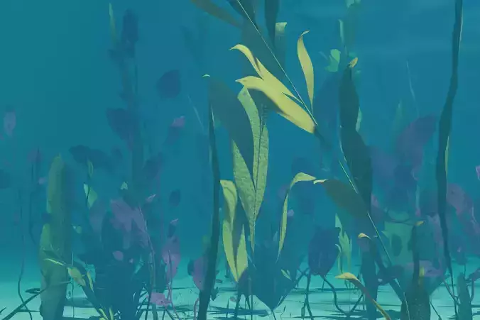 Seaweed collection plants in water Low-poly 3D model