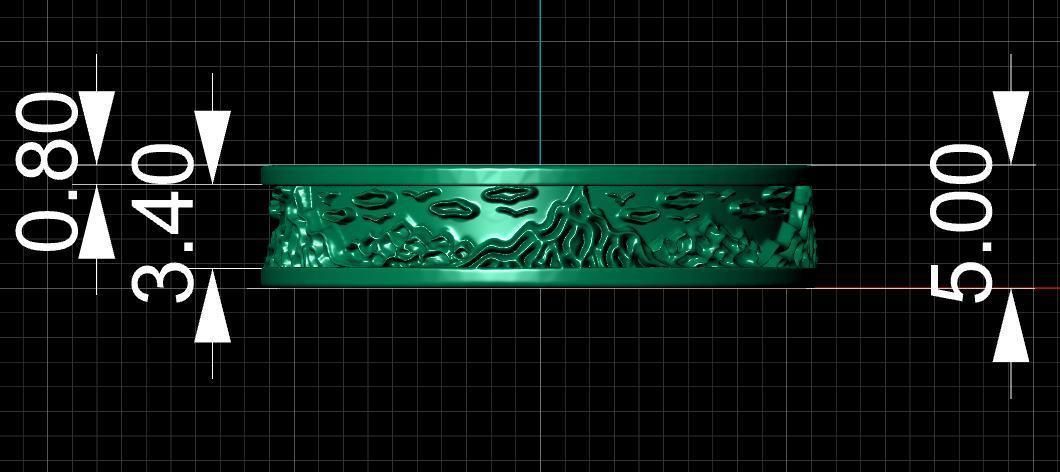 Ring Mountain 3D print model_14