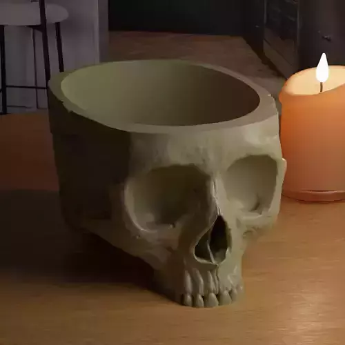 skull bowl planter pot