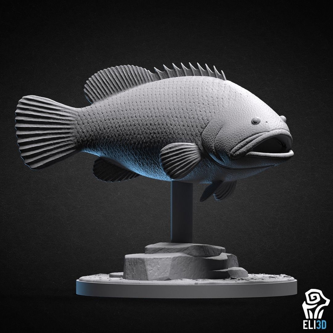 Animals - Ocean Wildlife 3D print model_21