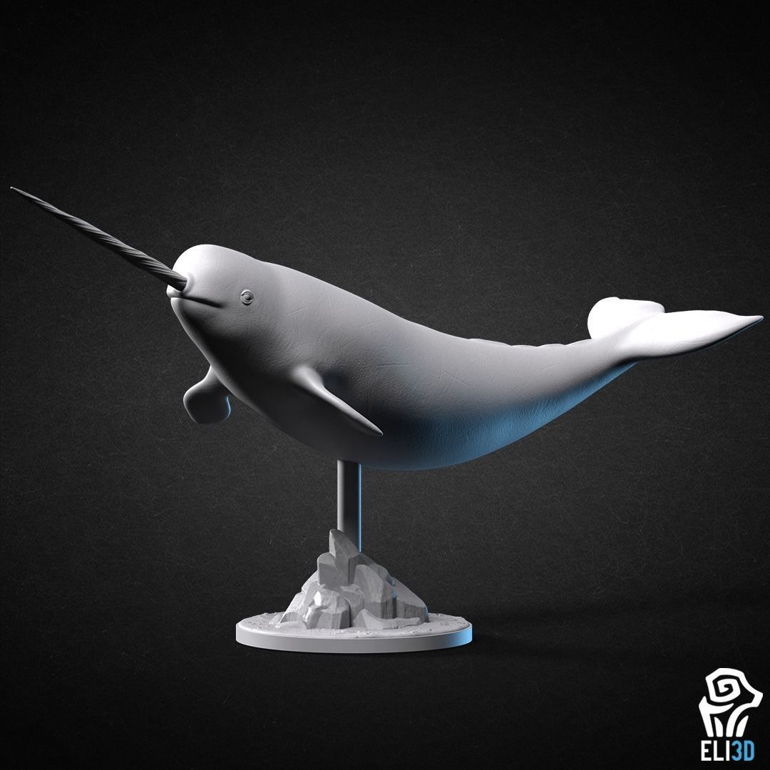 Animals - Ocean Wildlife 3D print model_25