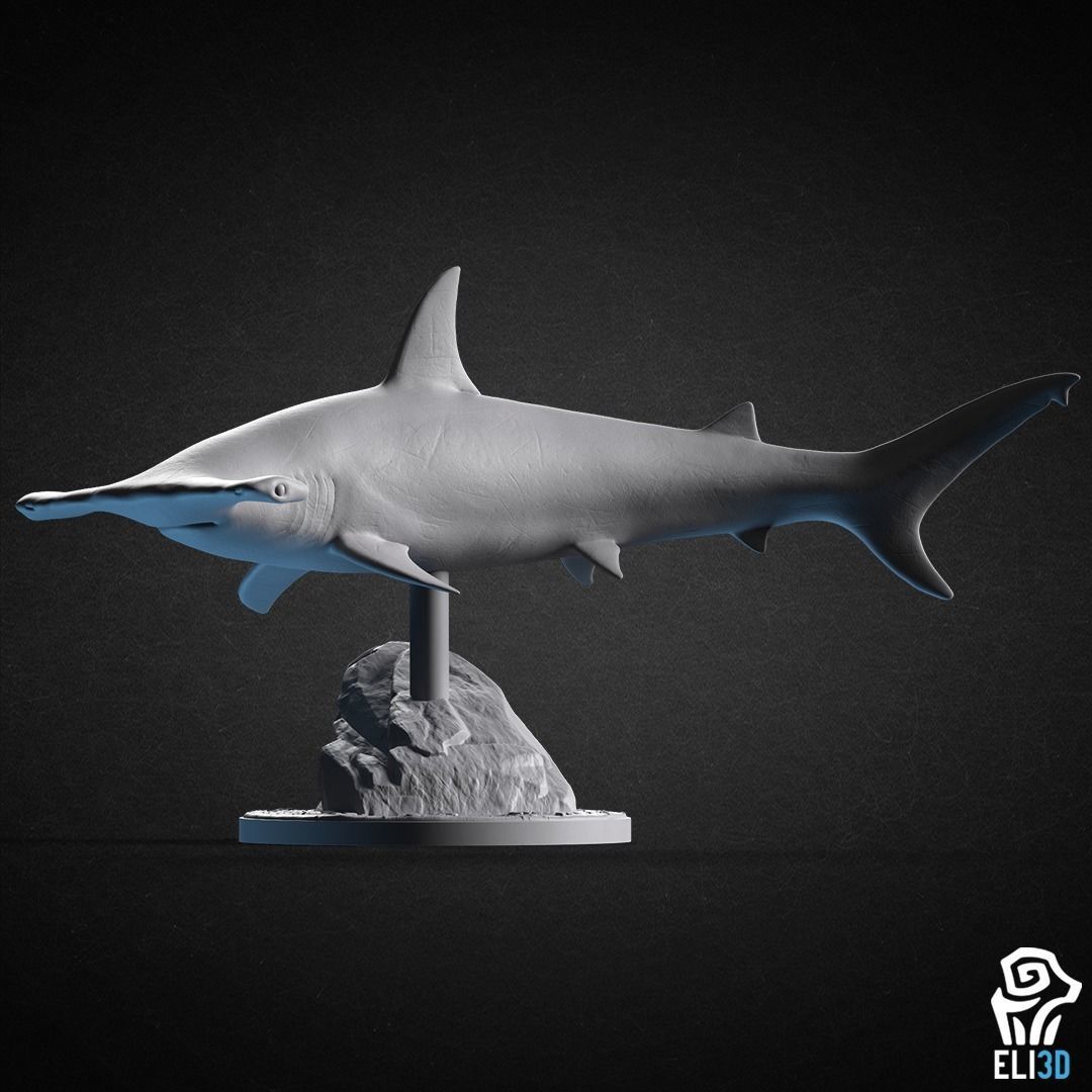 Animals - Ocean Wildlife 3D print model_17