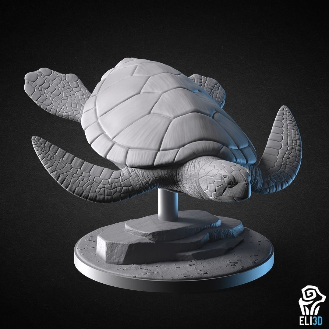 Animals - Ocean Wildlife 3D print model_1