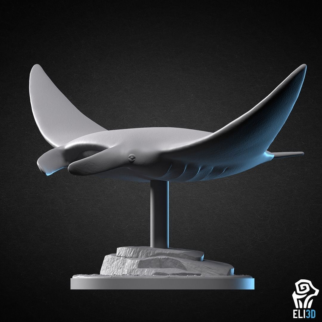 Animals - Ocean Wildlife 3D print model_27
