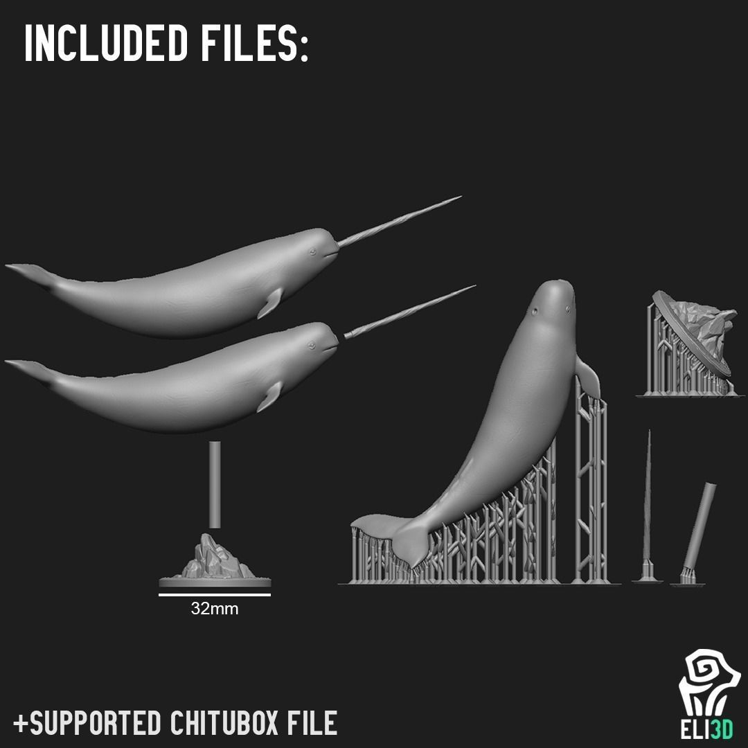 Animals - Ocean Wildlife 3D print model_26