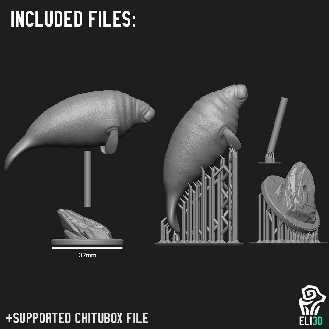 Animals - Ocean Wildlife 3D print model_24