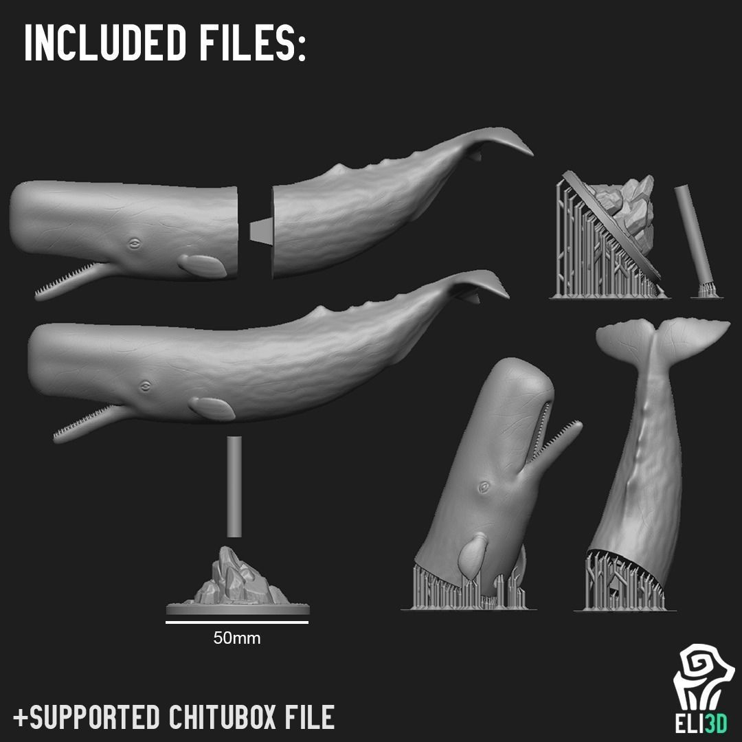 Animals - Ocean Wildlife 3D print model_10