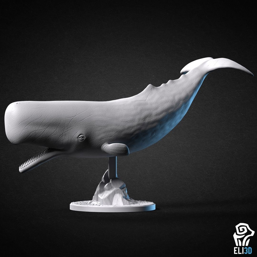 Animals - Ocean Wildlife 3D print model_9
