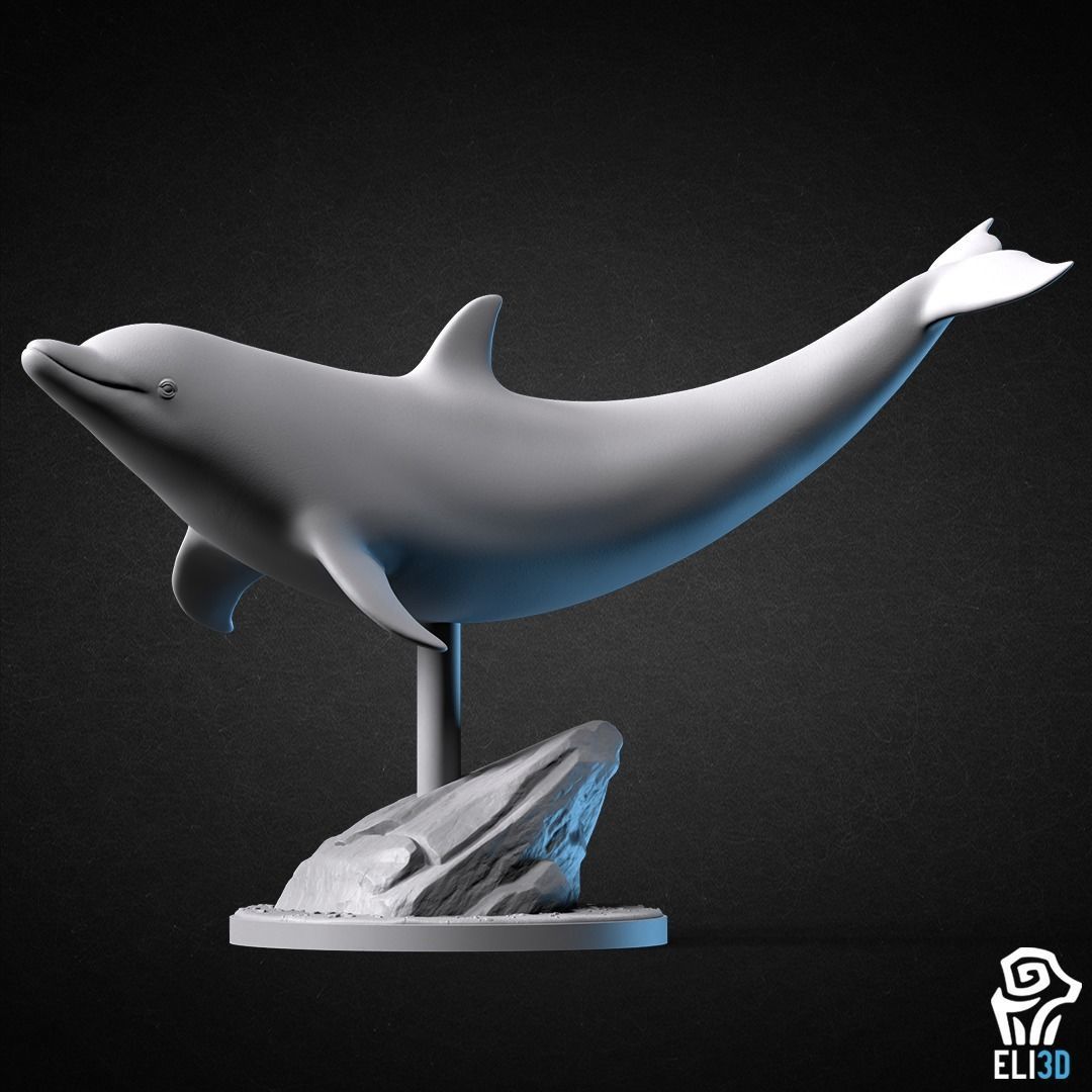 Animals - Ocean Wildlife 3D print model_13