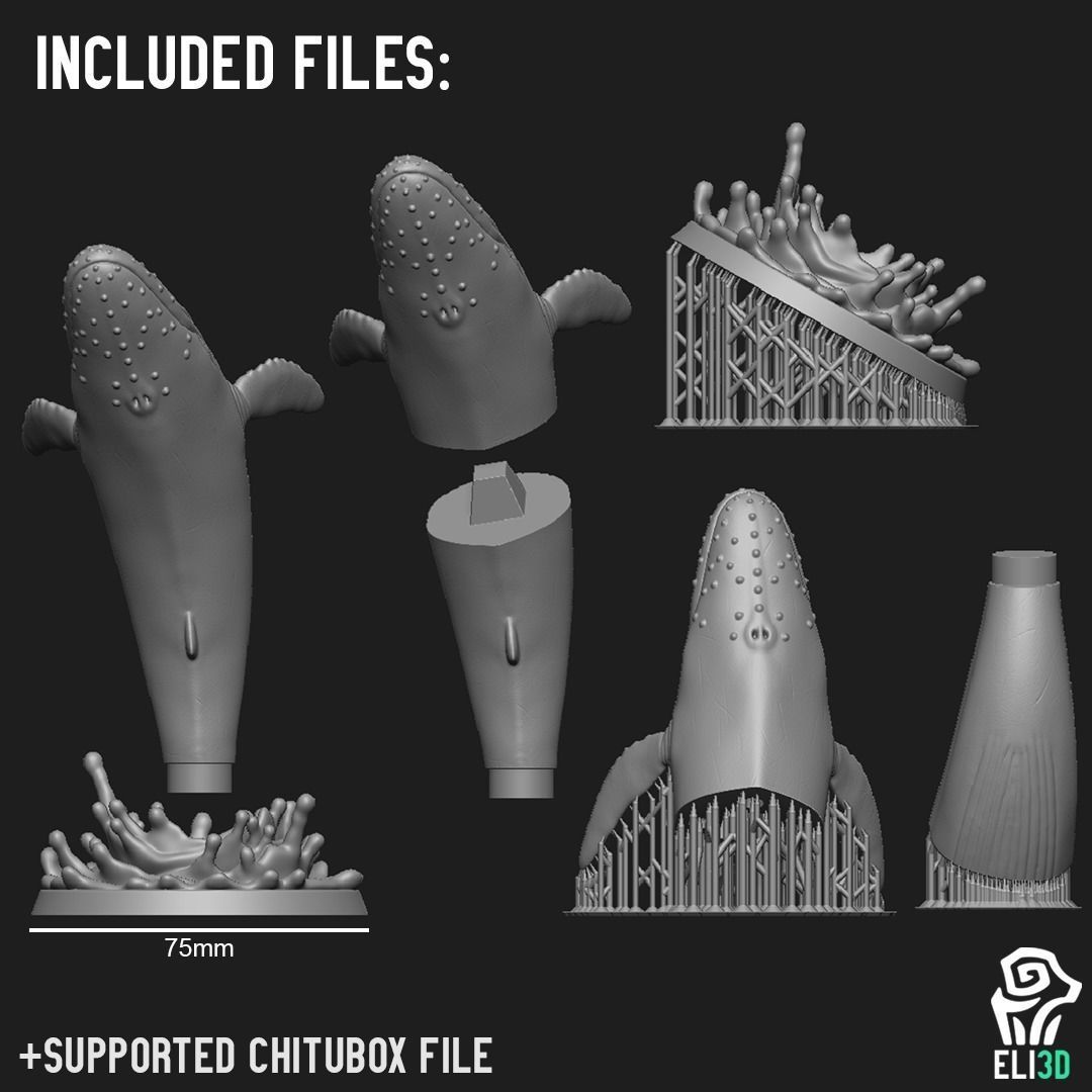 Animals - Ocean Wildlife 3D print model_8