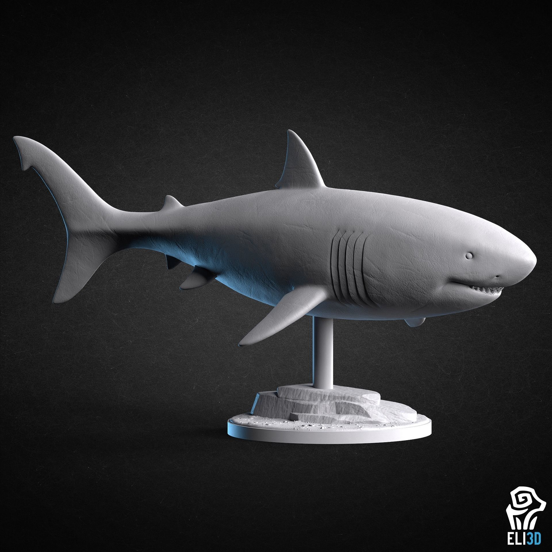 Animals - Ocean Wildlife 3D print model_3
