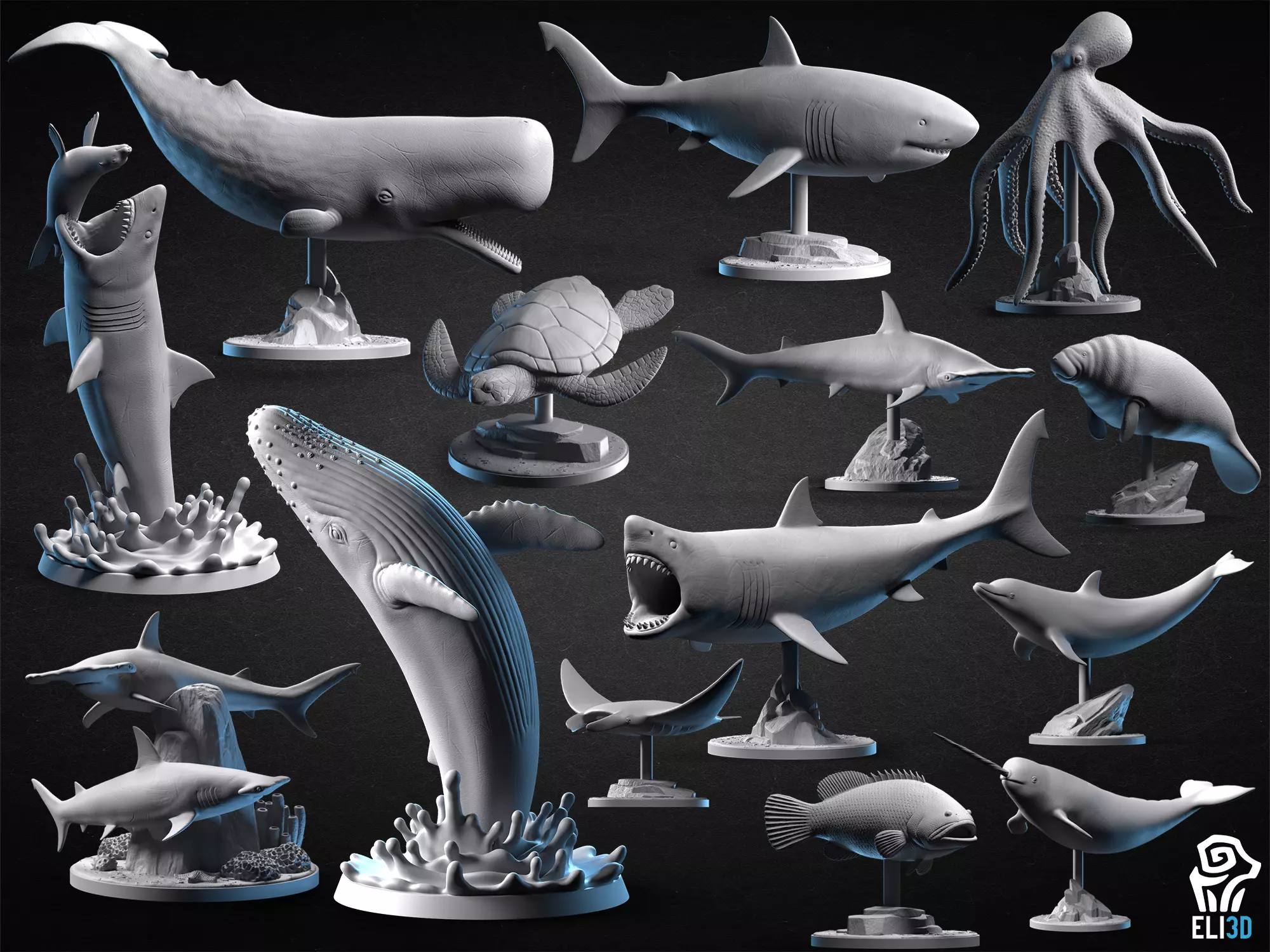 Animals - Ocean Wildlife 3D print model_0