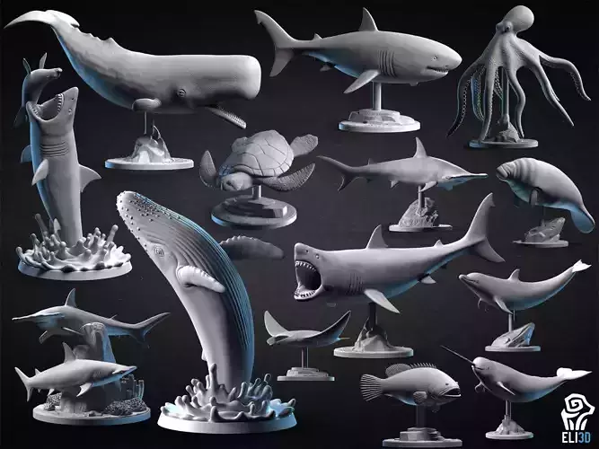 Animals - Ocean Wildlife 3D print model