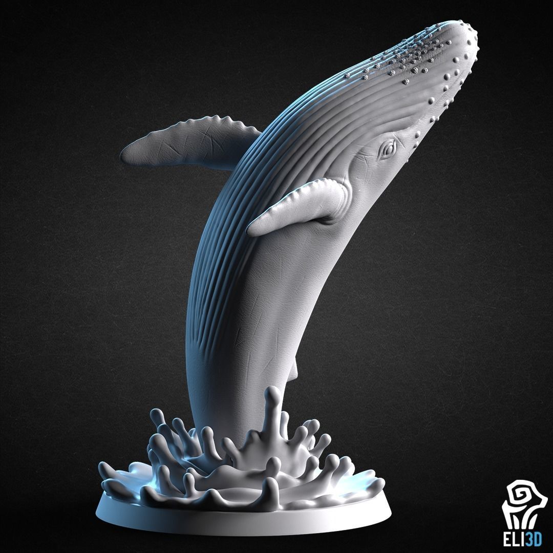 Animals - Ocean Wildlife 3D print model_7
