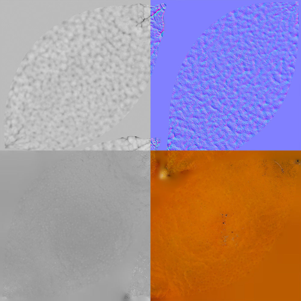 Clementine 3D model_8