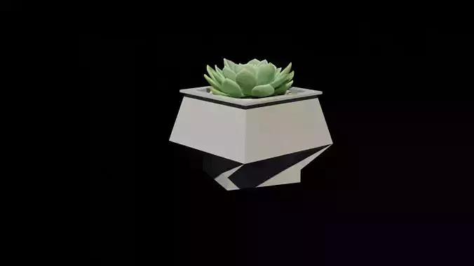 CUBIC POT I