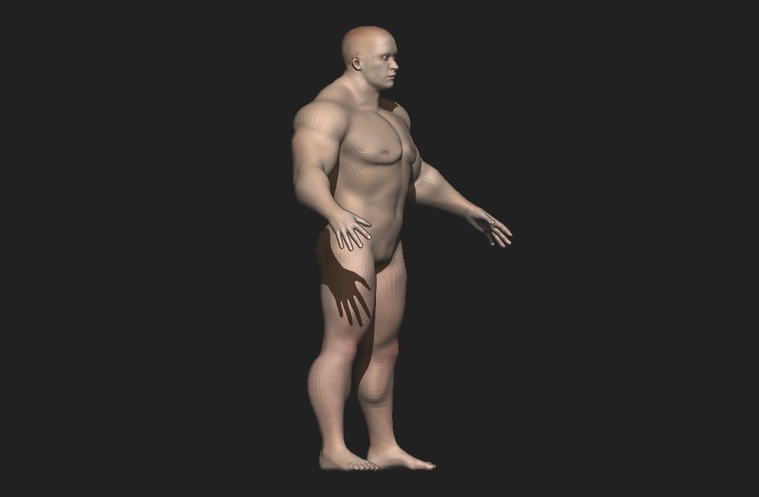 base mesh male  Low-poly 3D model_6