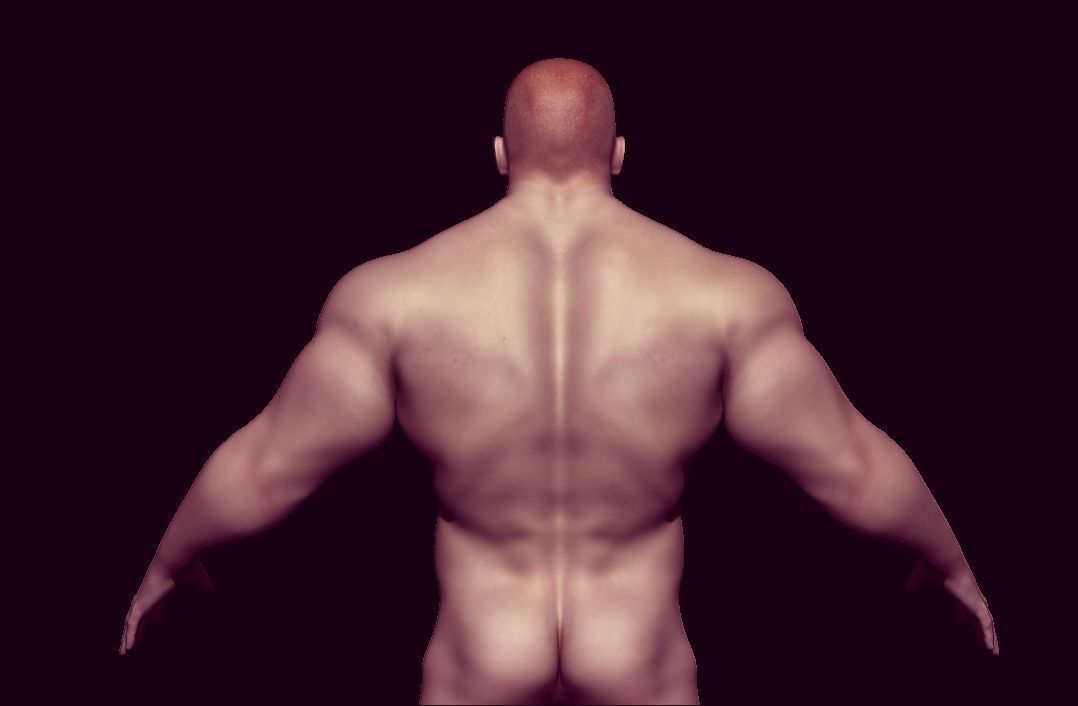 base mesh male  Low-poly 3D model_8