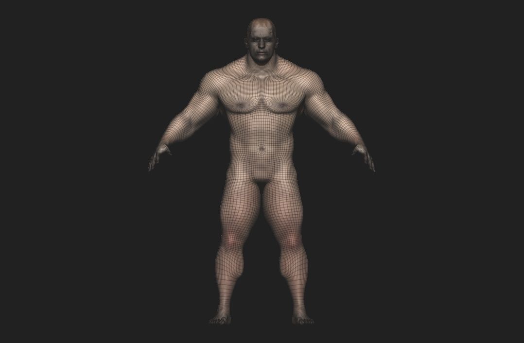base mesh male  Low-poly 3D model_9