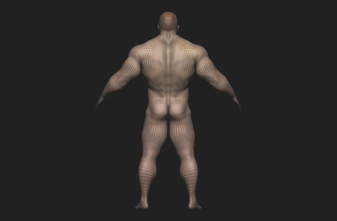 base mesh male  Low-poly 3D model_4