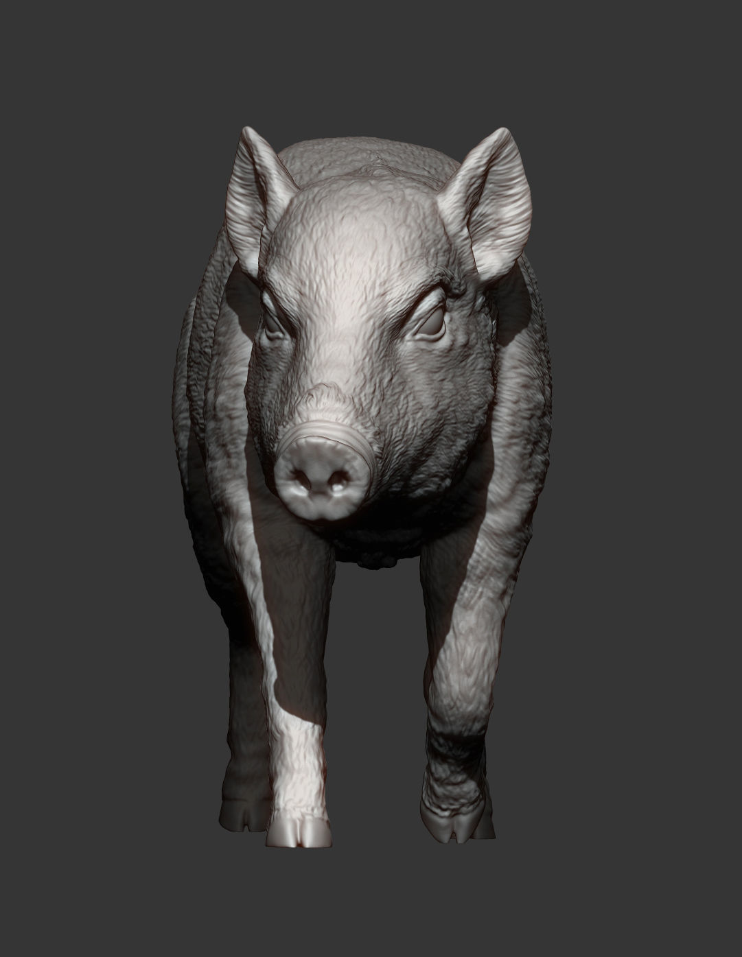 Small wild boar 3D print model_10