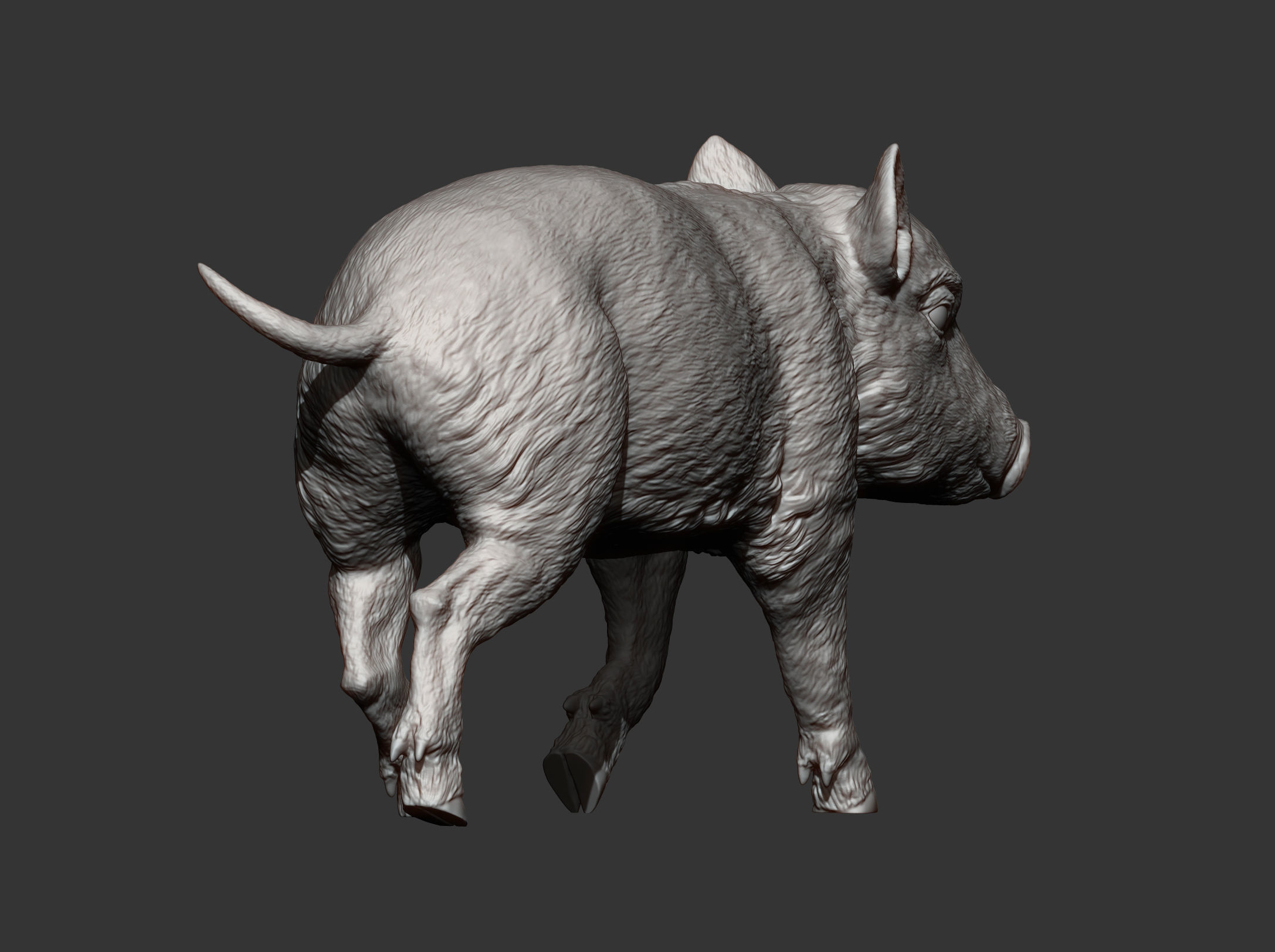 Small wild boar 3D print model_8