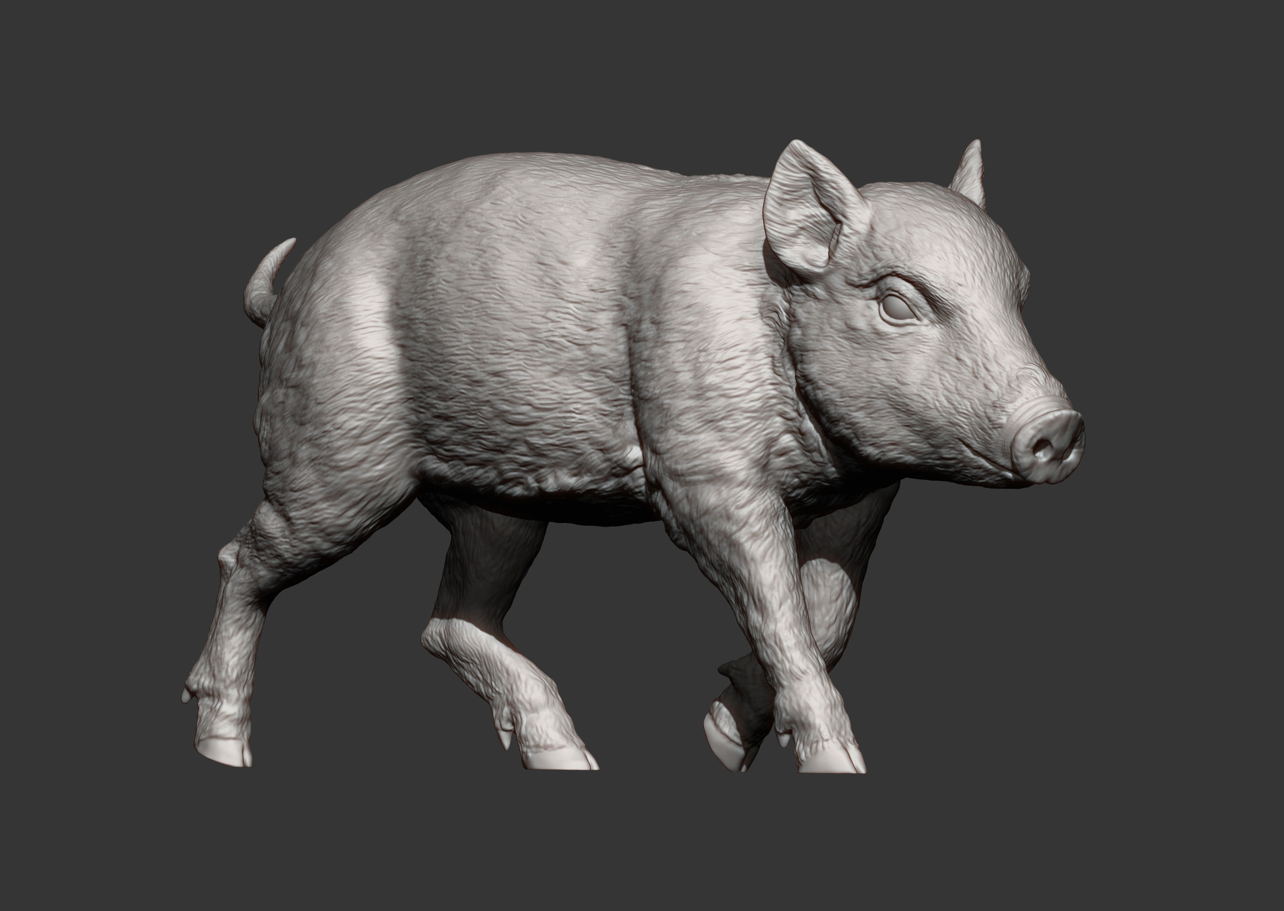 Small wild boar 3D print model_12