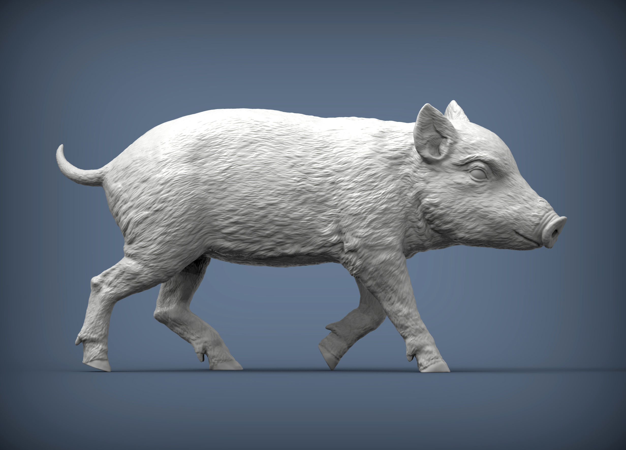 Small wild boar 3D print model_4