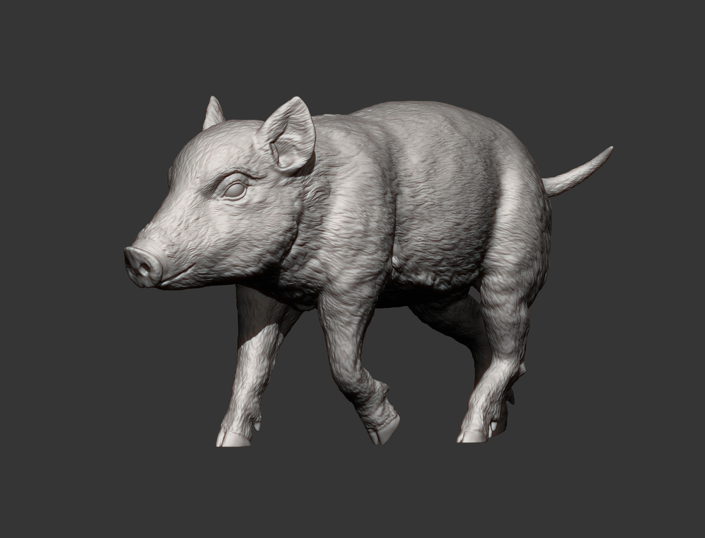 Small wild boar 3D print model_9