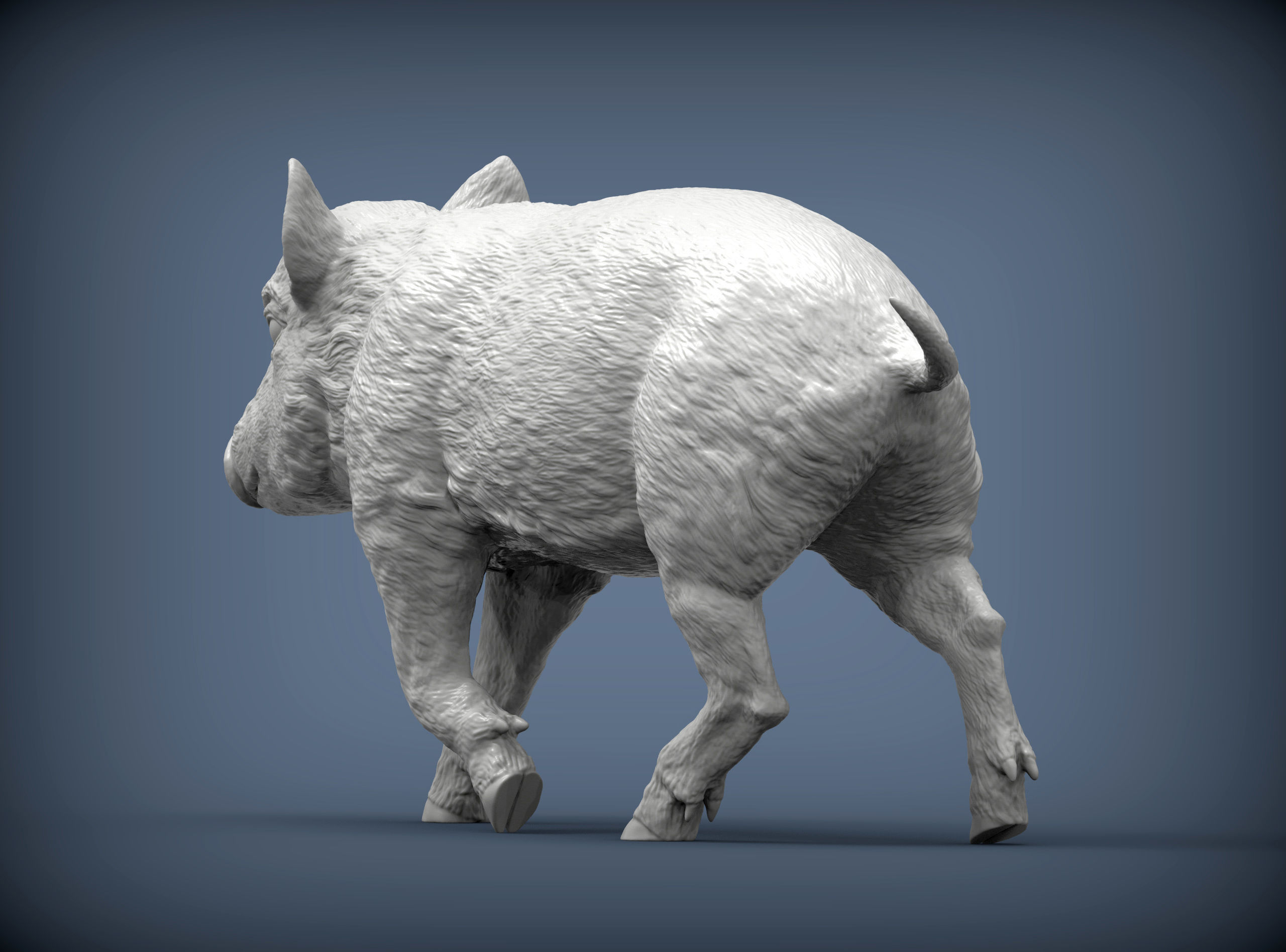 Small wild boar 3D print model_5