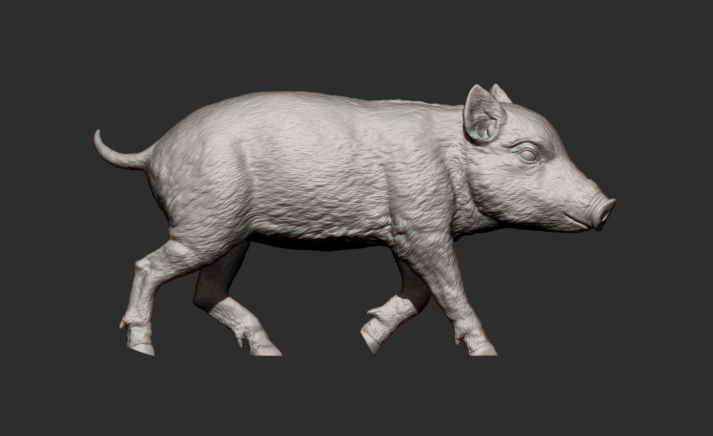 Small wild boar 3D print model_7