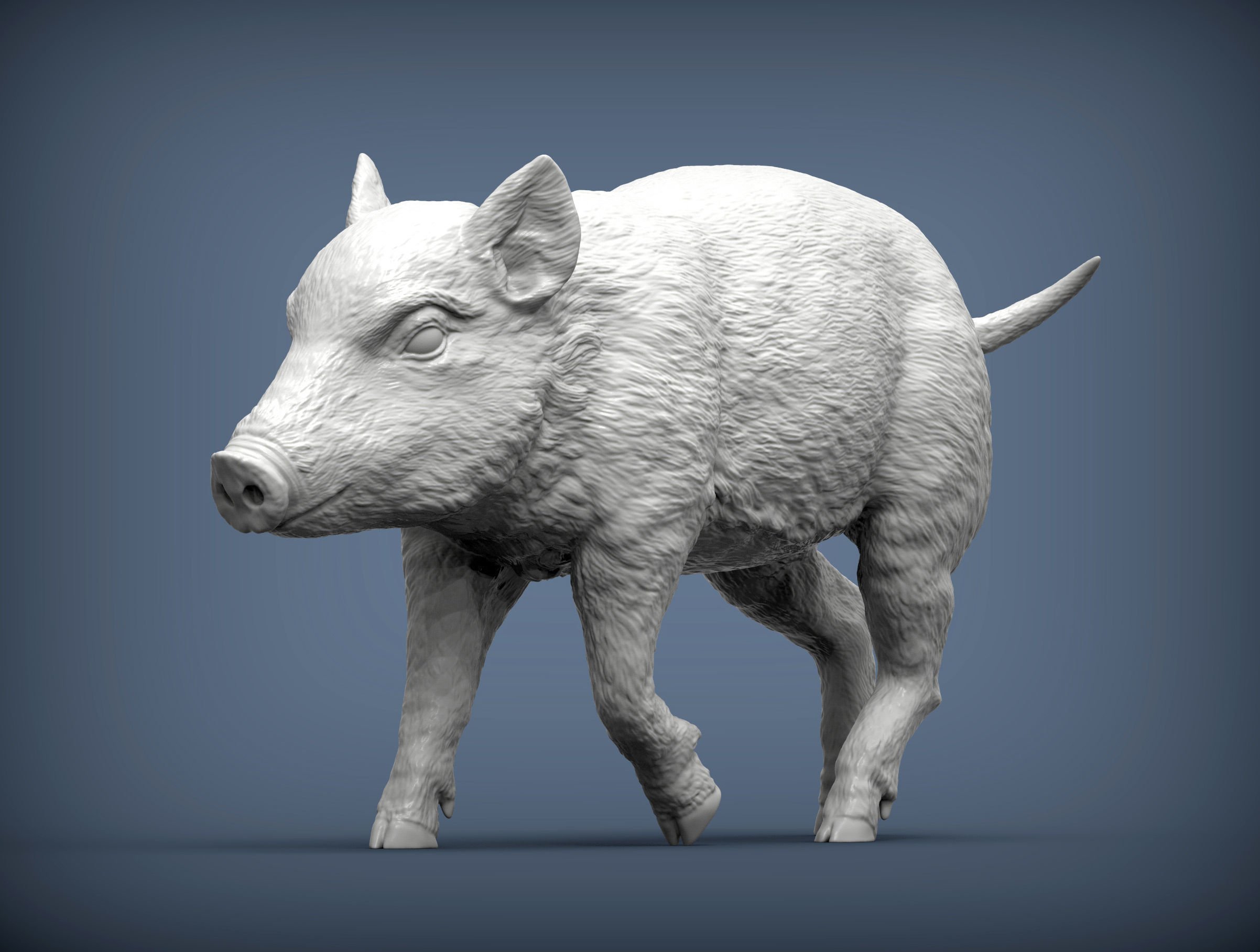 Small wild boar 3D print model_2