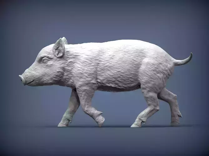 Small wild boar 3D print model