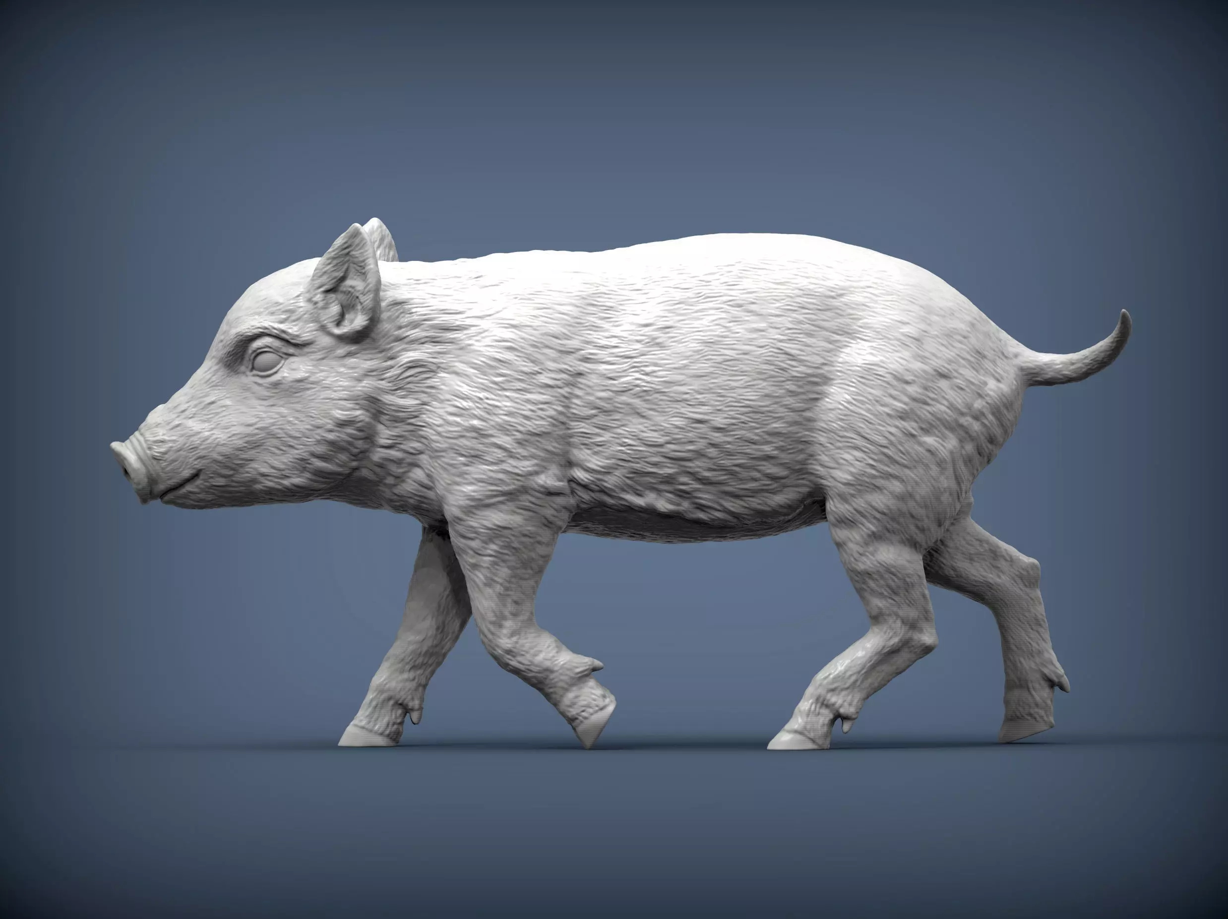 Small wild boar 3D print model_0