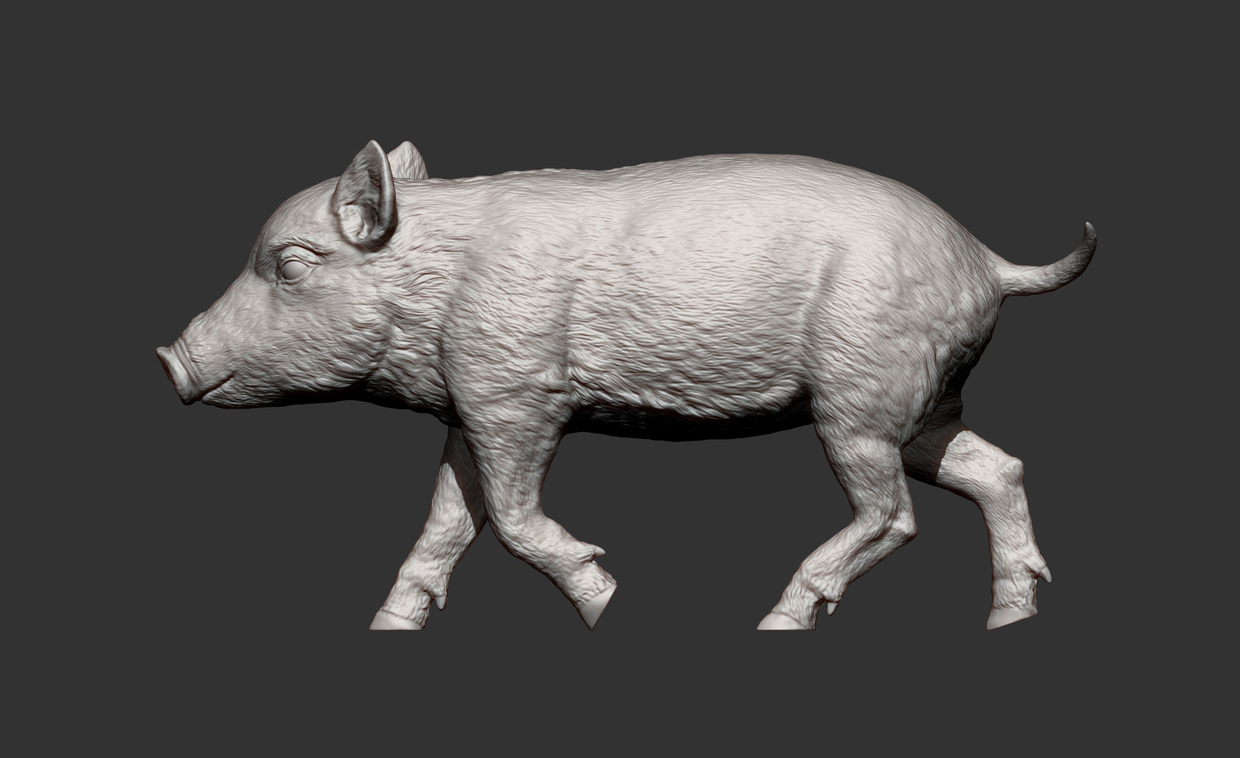 Small wild boar 3D print model_11