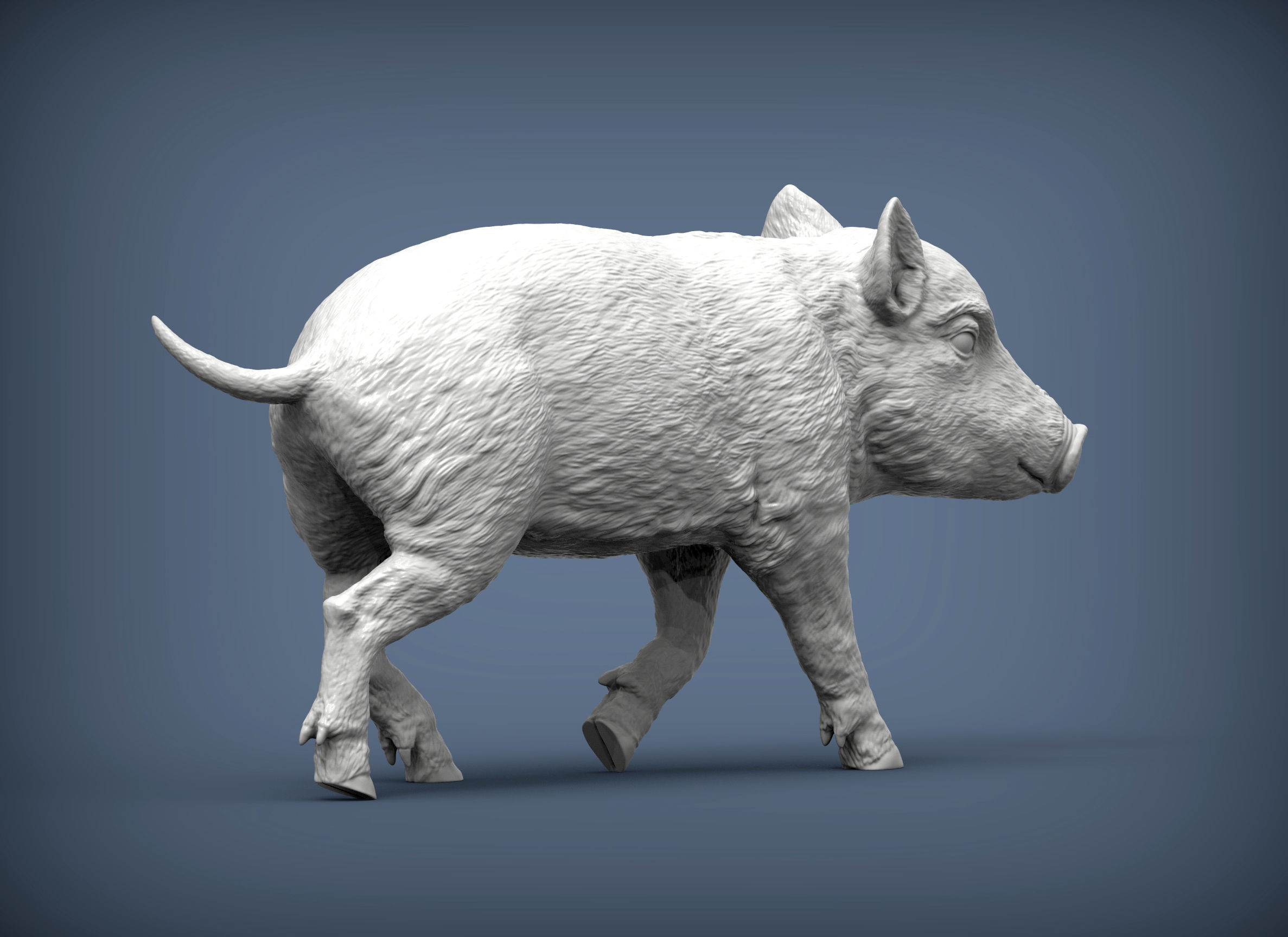 Small wild boar 3D print model_6