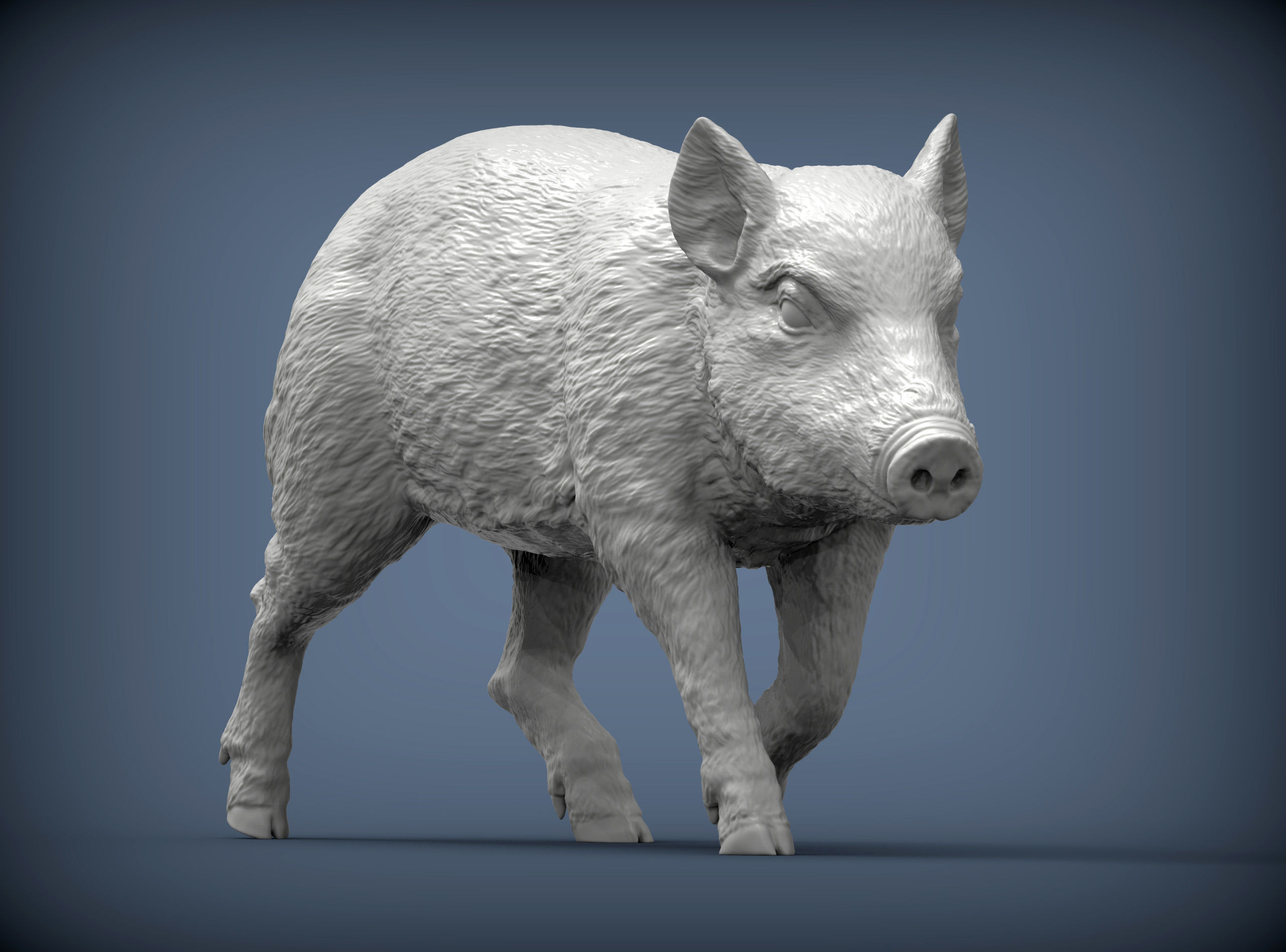 Small wild boar 3D print model_3