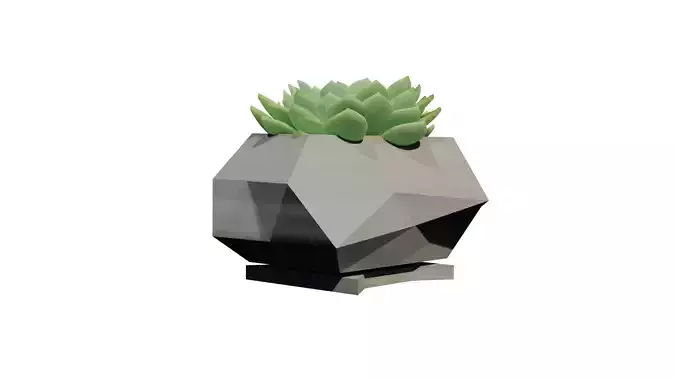 CUBIC POT III