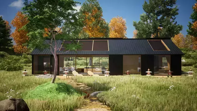 Japanese Walnut Tree