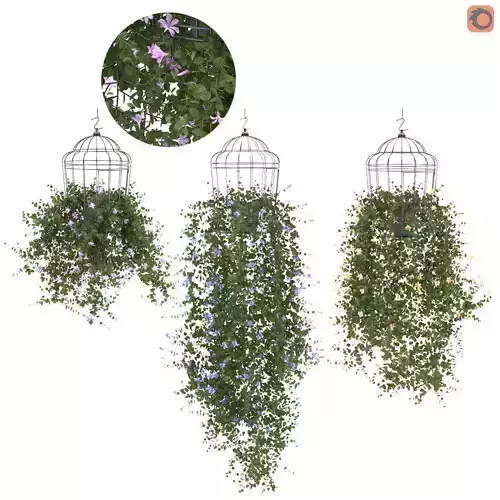 Plant flower in bird cage 3 set 3D model