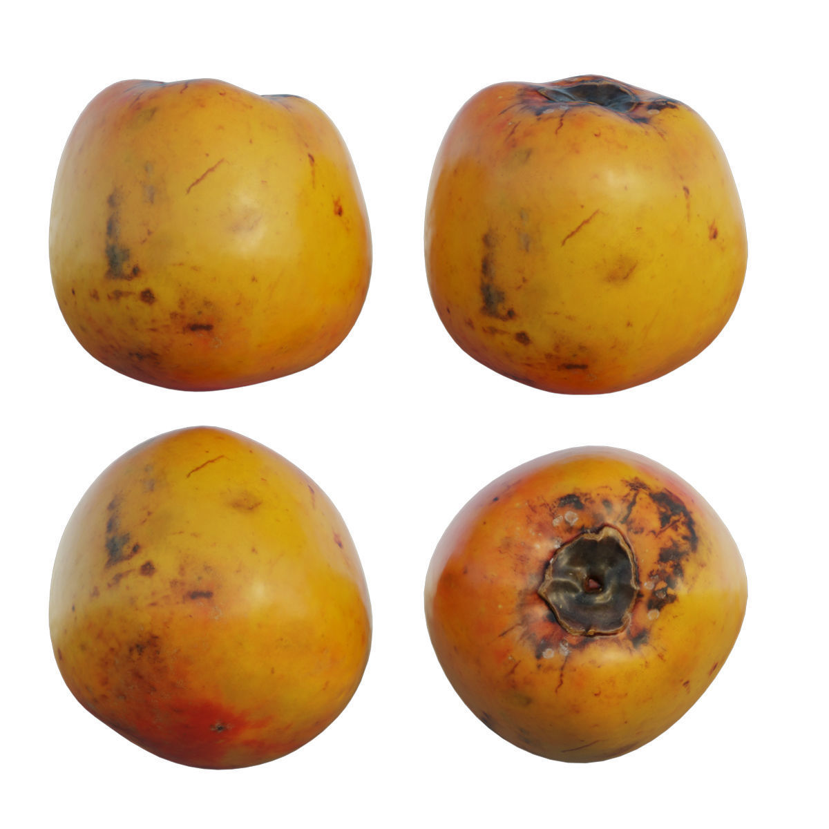 persimmon four ripe mangoes 3D model_5