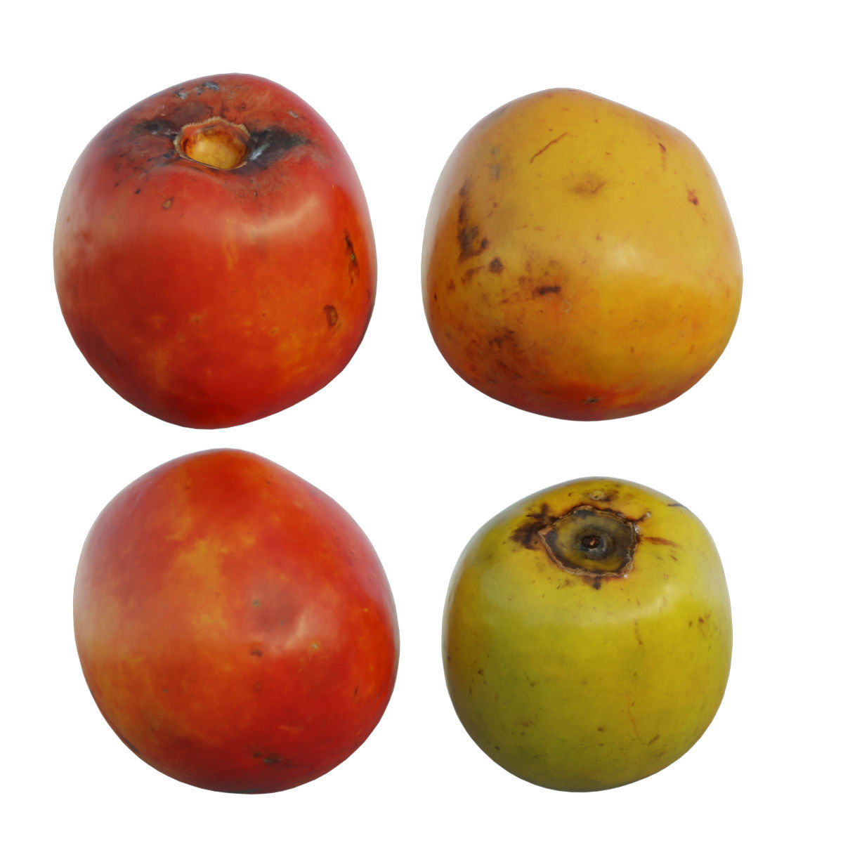 persimmon four ripe mangoes 3D model_3