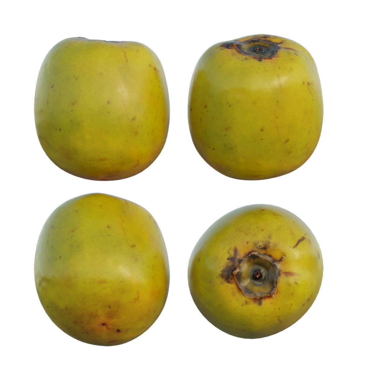persimmon four ripe mangoes 3D model_8
