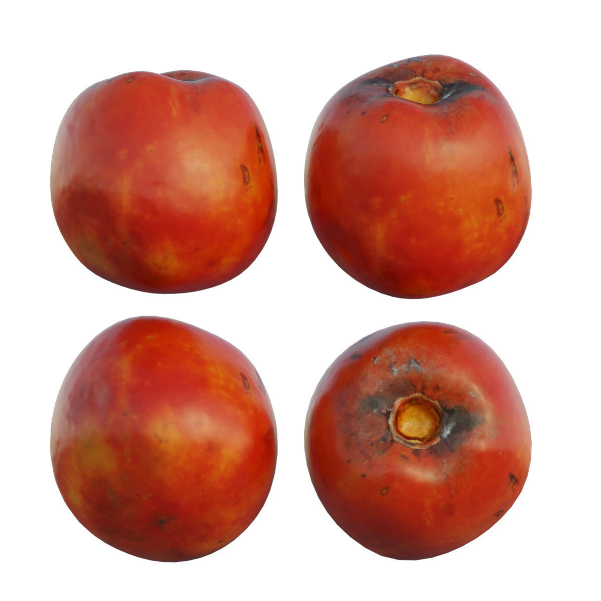 persimmon four ripe mangoes 3D model_4