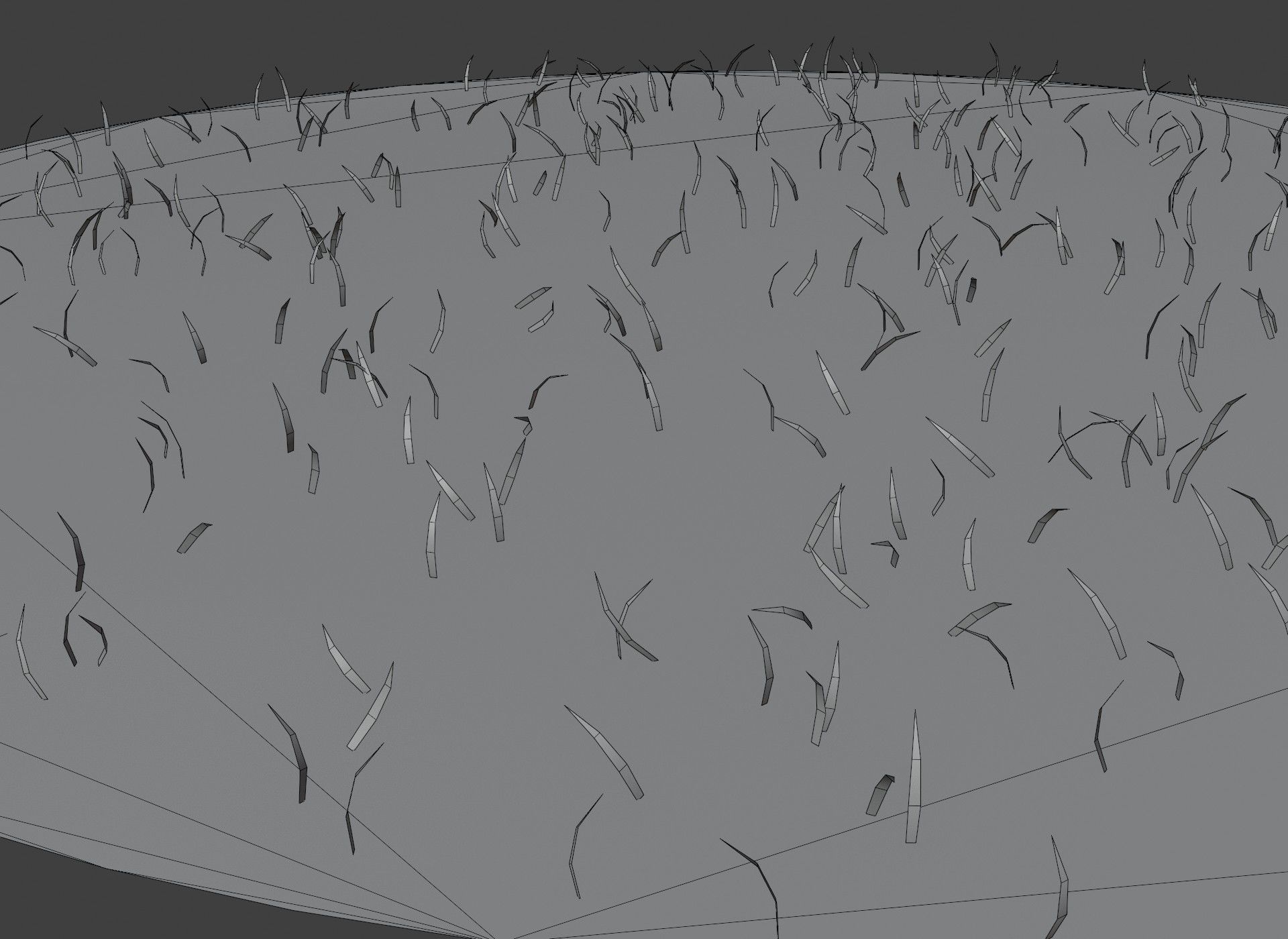 Cartoon Animated Squirrel with Props 3D Model Low-poly 3D model_36