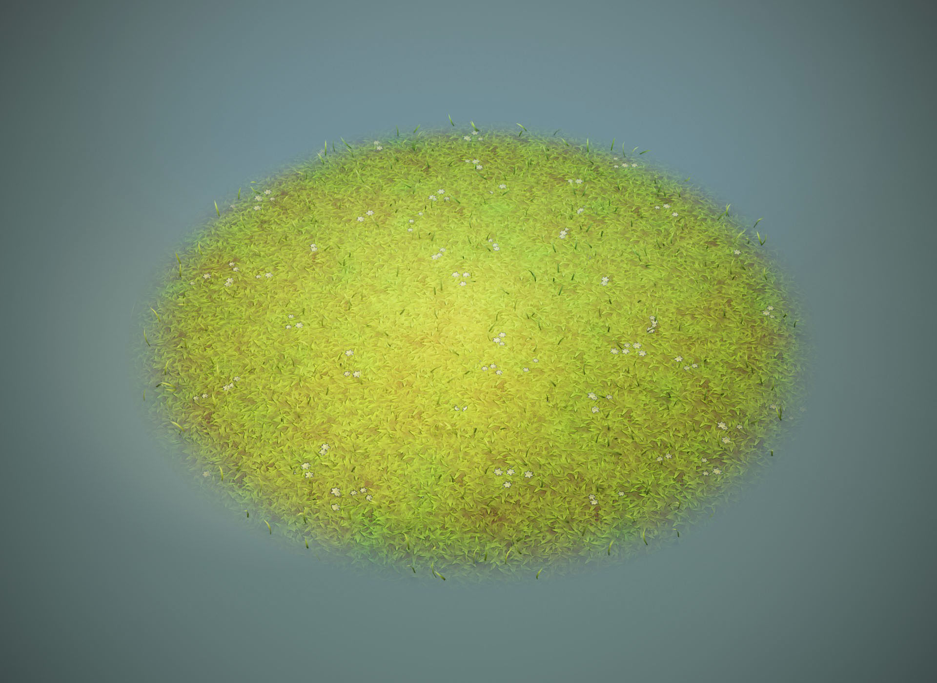 Cartoon Animated Squirrel with Props 3D Model Low-poly 3D model_32