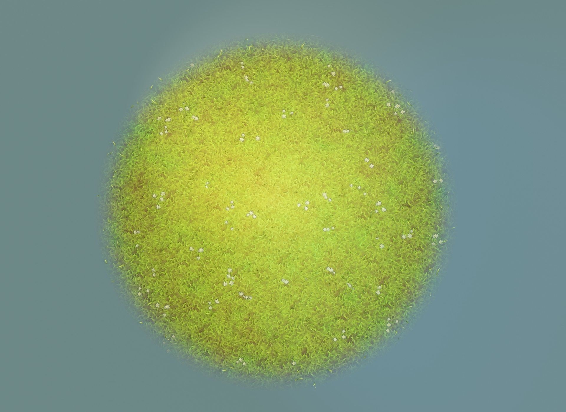 Cartoon Animated Squirrel with Props Collection _39