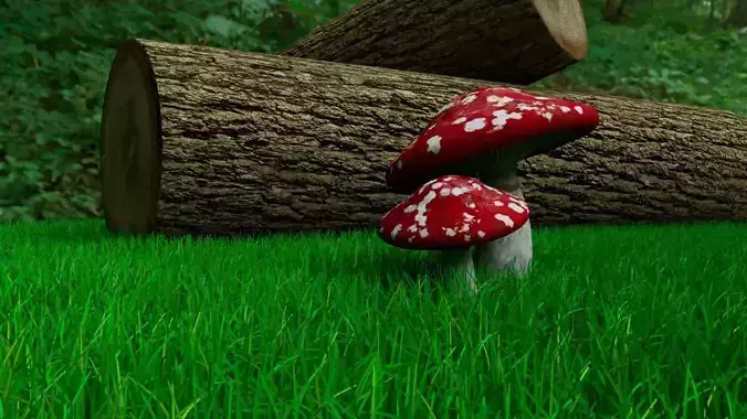 Mushroom 3d Model mushrooms Free 3D model