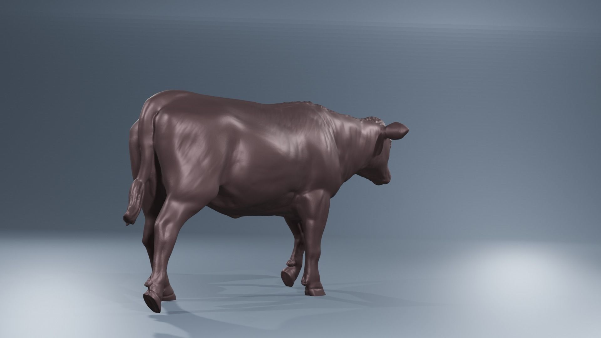 Young Heifer walking cow 3D print model_6