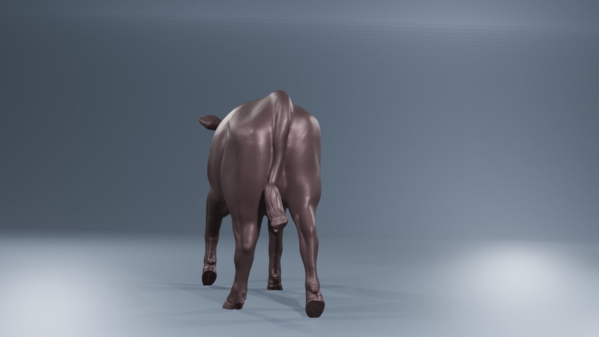 Young Heifer walking cow 3D print model_5